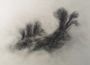 sylvie-payonne-dessin contemporain-chemin- arbres